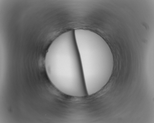 X0000114230624200910091329