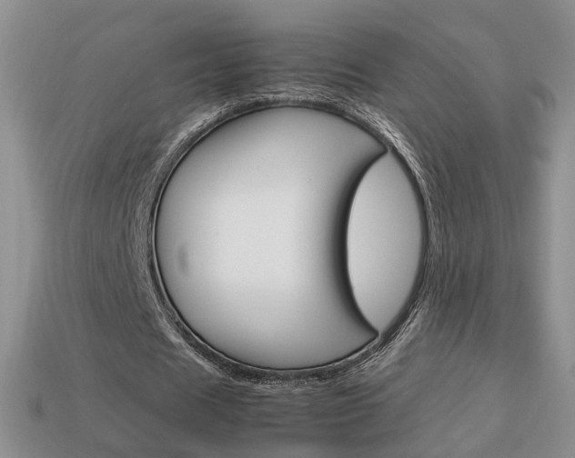 X0000114230625200910091329