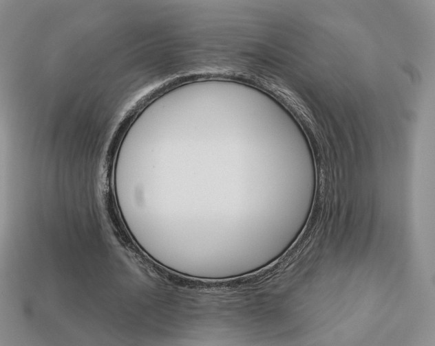 X0000114230628200910091329