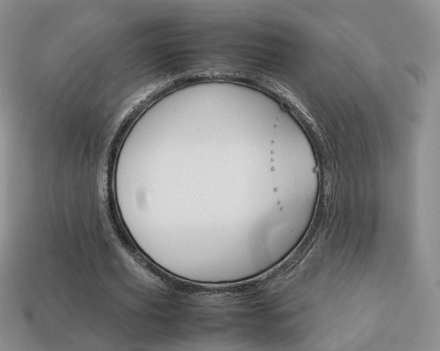 X0000114230629200910091329