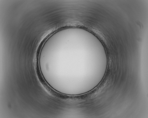 X0000114230630200910091329