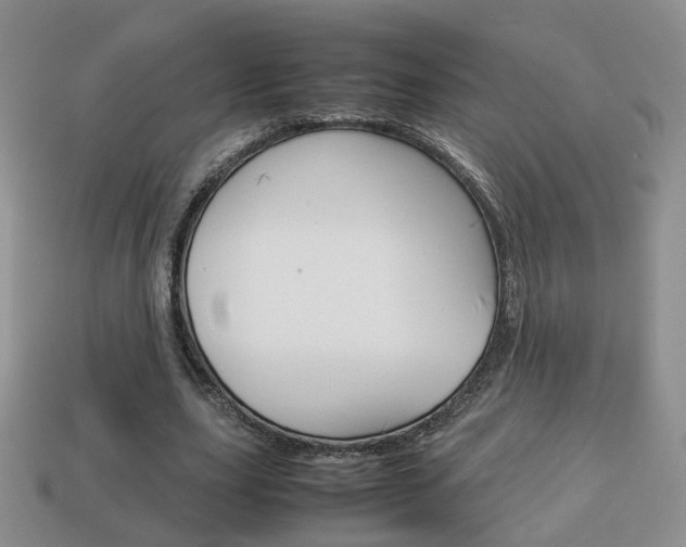 X0000114230631200910091329