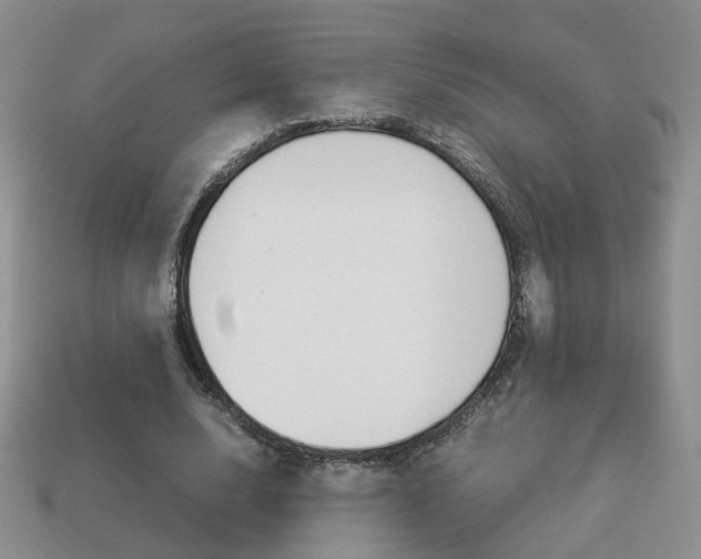 X0000114230632200910091329