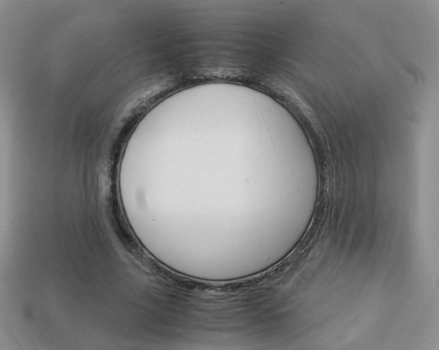 X0000114230635200910091329