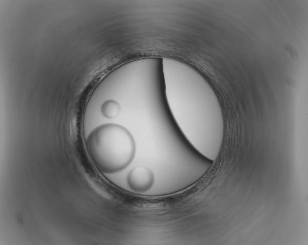 X0000114230638200910091329