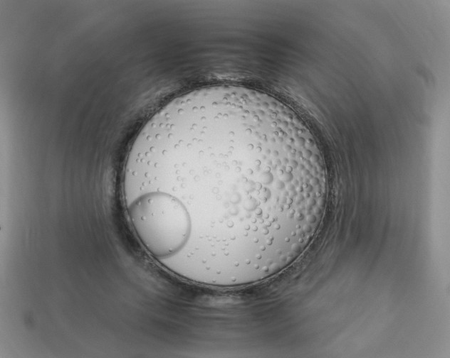X0000114230639200910091329