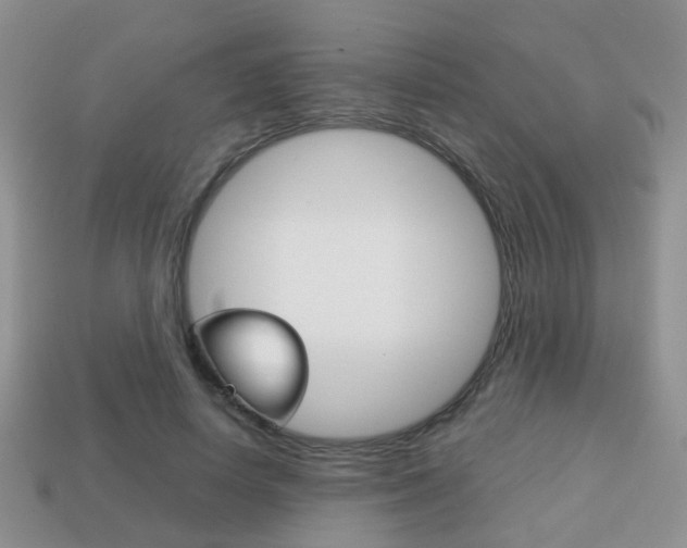 X0000114230642200910091329