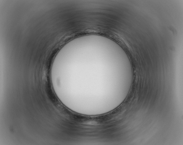 X0000114230643200910091329
