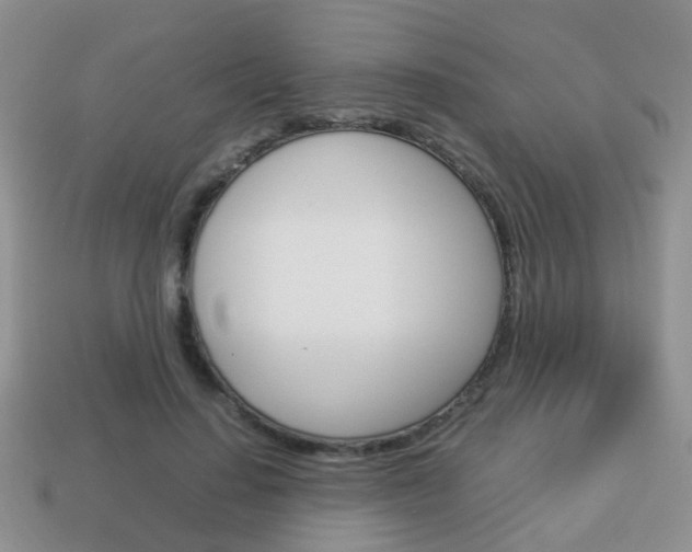 X0000114230644200910091329