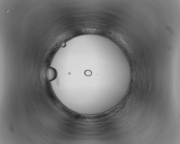 X0000114230645200910091329