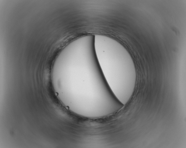 X0000114230648200910091329