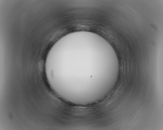 X0000114230649200910091329