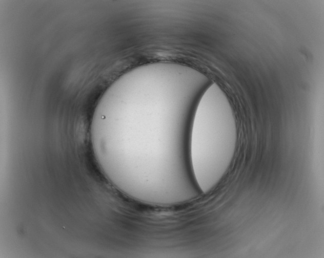 X0000114230651200910091329