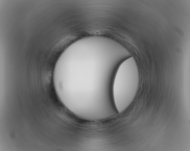 X0000114230652200910091329
