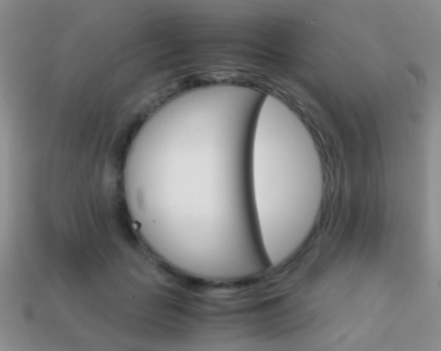 X0000114230653200910091329