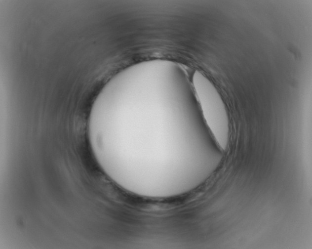 X0000114230657200910091329