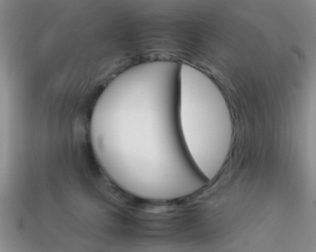 X0000114230661200910091329