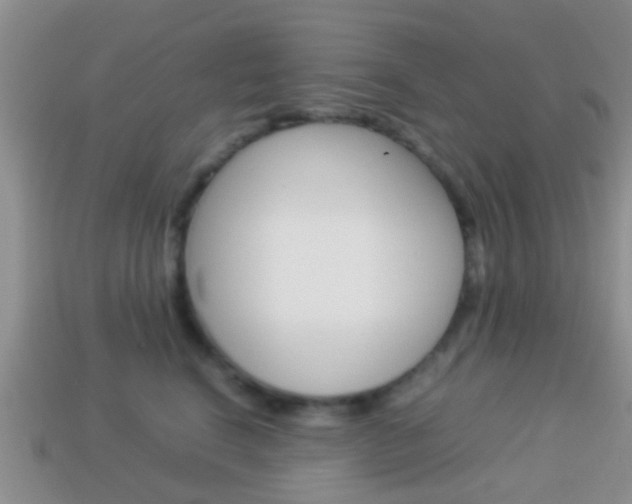 X0000114230664200910091329