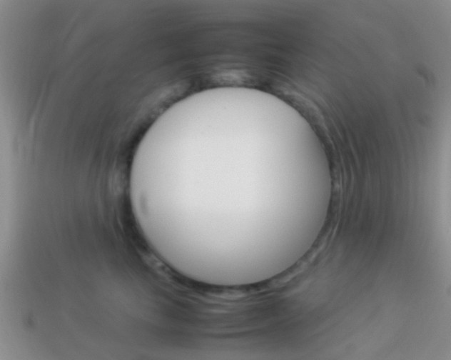 X0000114230665200910091329