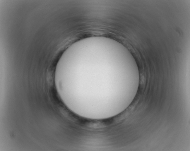 X0000114230666200910091329