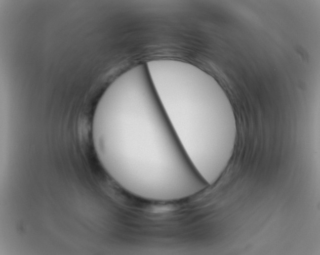 X0000114230669200910091329