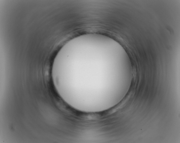 X0000114230670200910091329