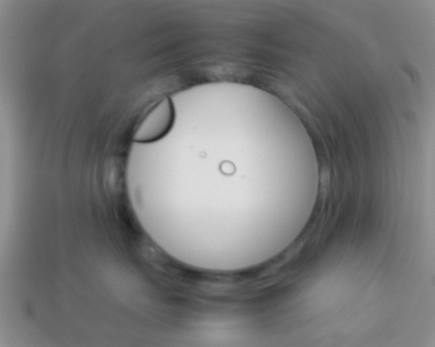 X0000114230671200910091329