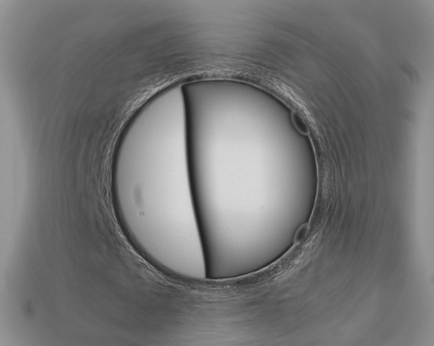 X0000114230673200910091329