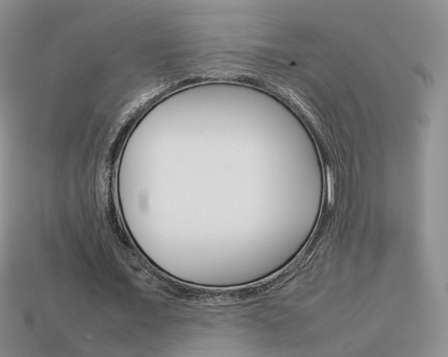 X0000114230675200910091329