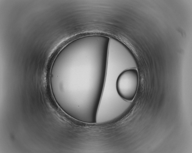 X0000114230676200910091329