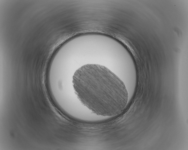 X0000114230677200910091329