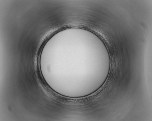 X0000114230678200910091329