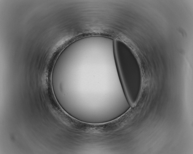 X0000114230680200910091329