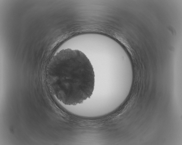 X0000114230681200910091329
