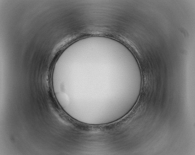 X0000114230682200910091329