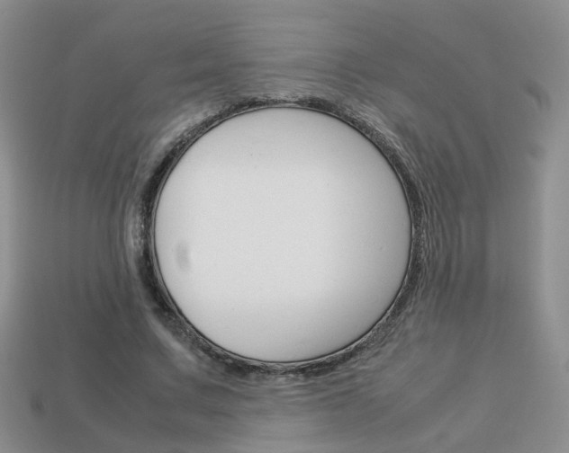 X0000114230683200910091328