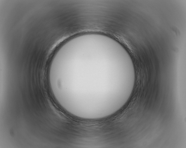 X0000114230684200910091328