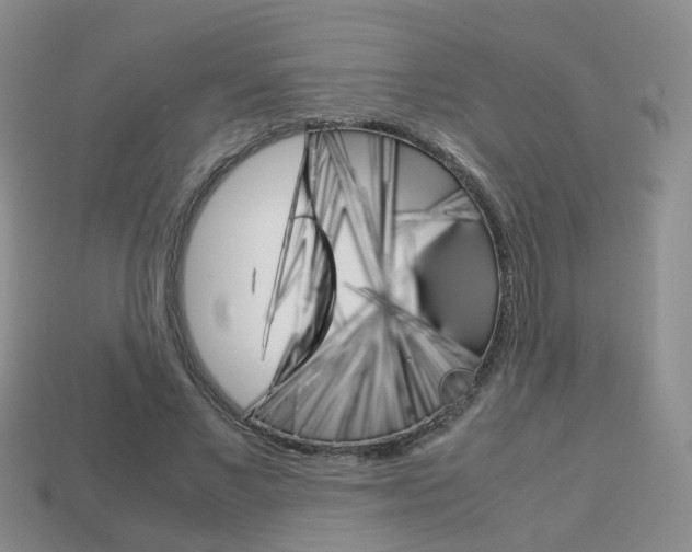 X0000114230685200910091328