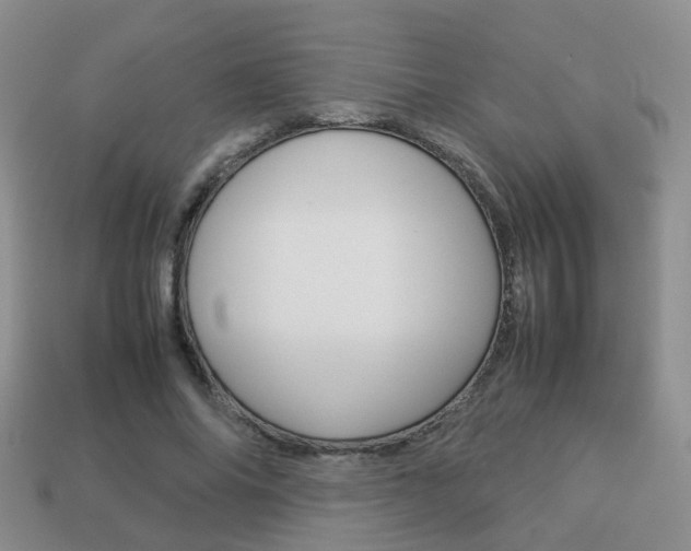 X0000114230686200910091328