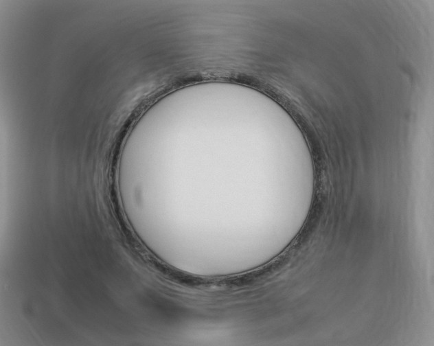 X0000114230687200910091328