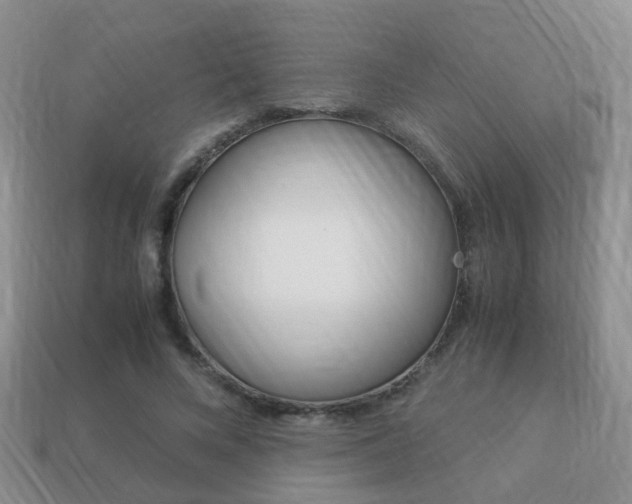 X0000114230688200910091328