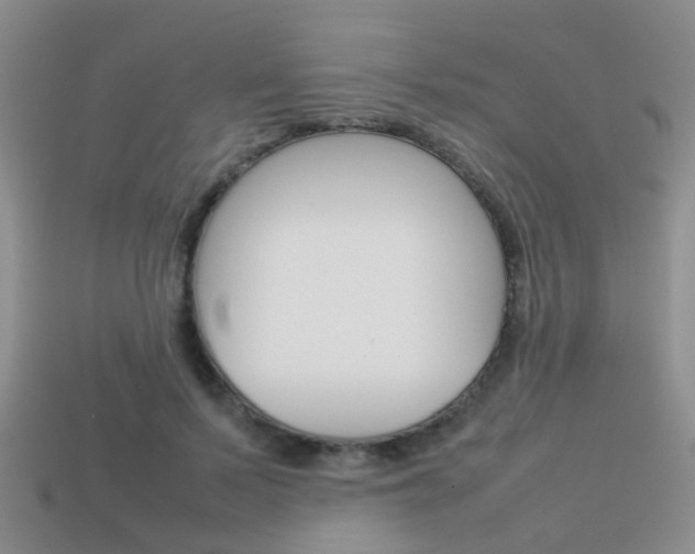 X0000114230695200910091328
