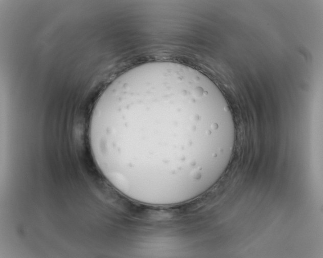 X0000114230698200910091328
