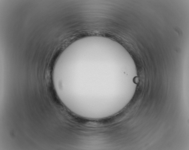 X0000114230699200910091328