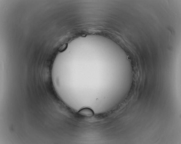 X0000114230704200910091328