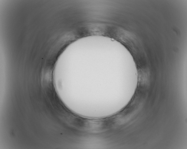 X0000114230713200910091328