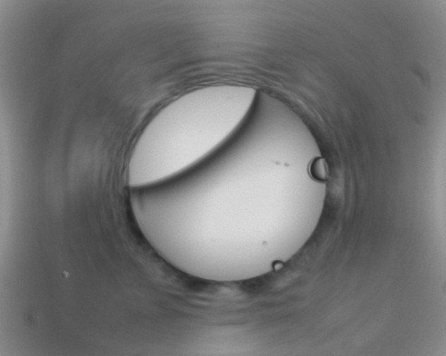 X0000114230715200910091328