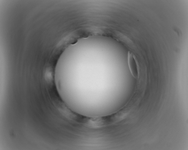 X0000114230720200910091328