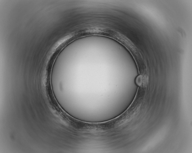 X0000114230724200910091327