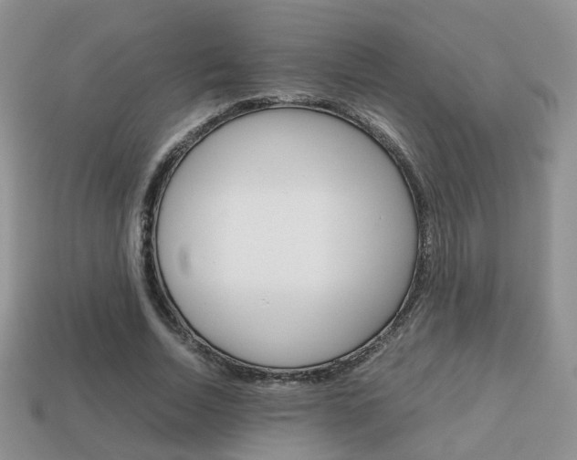 X0000114230730200910091328
